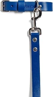 PAWPAW Complete Pet Supplies Starter Kit – Small Blue